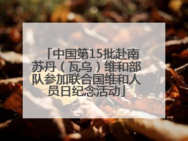 中国第15批赴南苏丹（瓦乌）维和部队参加联合国维和人员日纪念活动